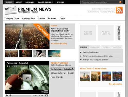 Product picture Premiere Worldpress Theme
